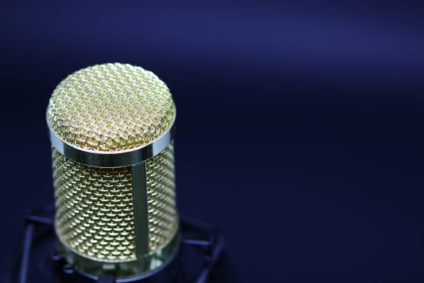 istock Condenser microphone with gold accents 1461144300