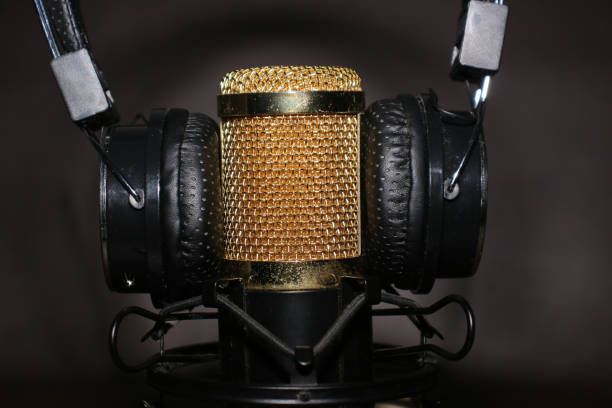 istock Condenser microphone with gold accents 1461144338
