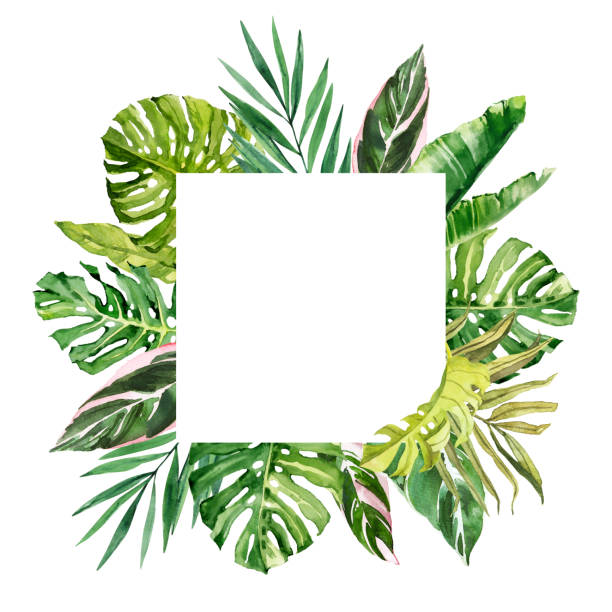 istock Watercolor hand drawn rainforest tropical leaves bouquet frame template. 1461148834