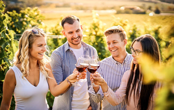 young friends having fun outdoors - happy people enjoying harvest time together at farmhouse winery countryside - tasting red wine at vineyard - focus on the girl's face with glasses - estabelecimento vinicola imagens e fotografias de stock