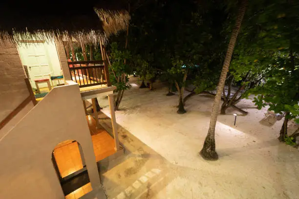 Top view in long exposure from the veranda of a straw-roofed house to the entrance of the property with sand, palm trees, and trees enriching the landscape in a summer night