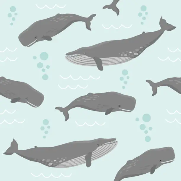Vector illustration of Seamless pattern with whales. Blue whales and Sperm whales swimming under water.