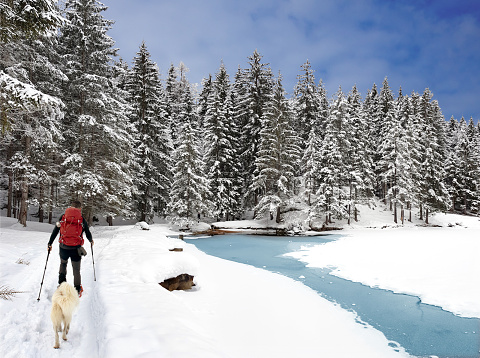 A man snowshoeing with his dog around Lake Pianozes, near the famous town of Cortina d'Ampezzo, on the Alps in Italy