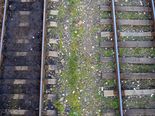istock Old railway tracks. View from above. Railway in the moss. Road concept. Train station. 1461155923