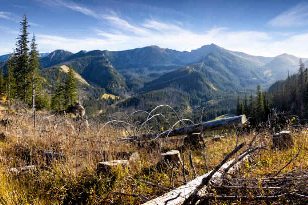 Vacations in Poland - Bystra Valley in Tatra Mountains.  Kasprowy Wierch with a cable car in the background