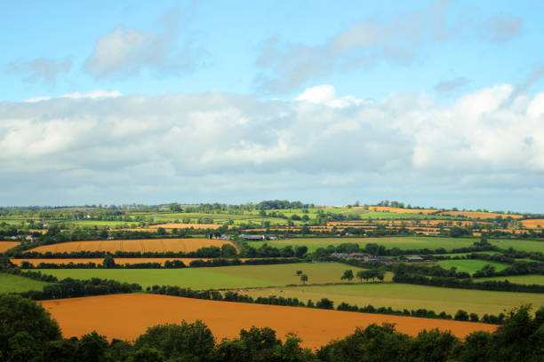istock Colorful Irish countryside. 1461158262