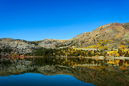 Autumn landscape of Sierra Nevada and Red Lake surrounded by pine trees and colorful fall aspen trees.\n\nTaken at Red Lake, California, USA