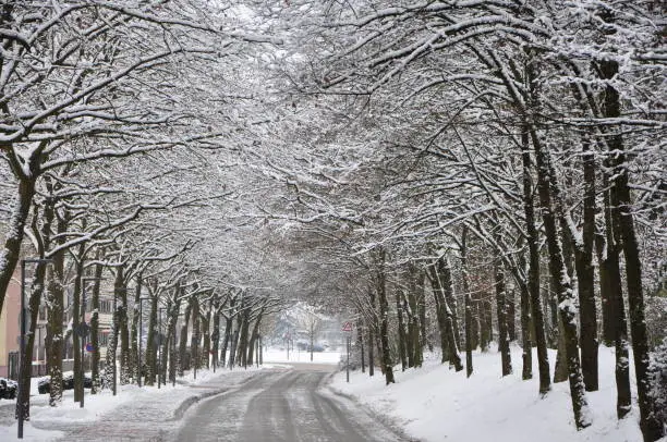Snow covered road in a snowy white winter forest in Bad Fussing, Bavaria, Germany. Winter scene of snow covered road and trees.Winter road and snow forest.Road through snowy wood in wintertime.