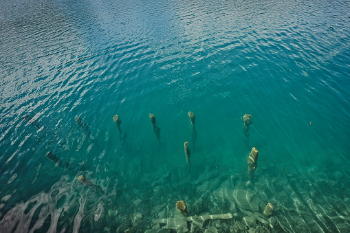 Wooden poles or jetty remains in Bled lake, Slovenia.