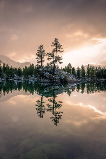 istock A lake in winter, on which stands a rock with two trees, during a sunset 1461166702