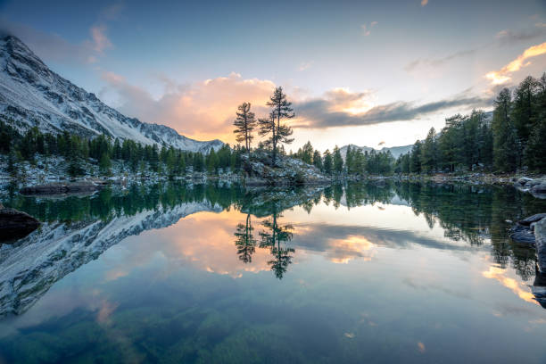 A lake in winter, on which stands a rock with two trees, during a sunset
