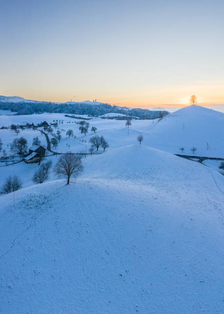 istock White snow hills landscape on each hill stands a tree 1461168725