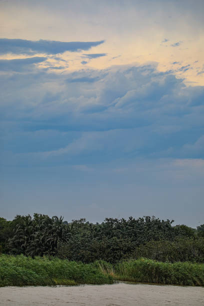 Cloudy Sky Hippo Boat Safari in St- Lucia. A beautiful Town famous for it´s vast Hippo population. gewitter stock pictures, royalty-free photos & images