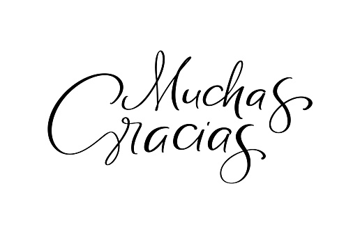 Thank you vector lettering text in spanish Muchas Gracias. Hand drawn phrase. Handwritten modern brush calligraphy for invitation and greeting card, t-shirt, prints and posters.