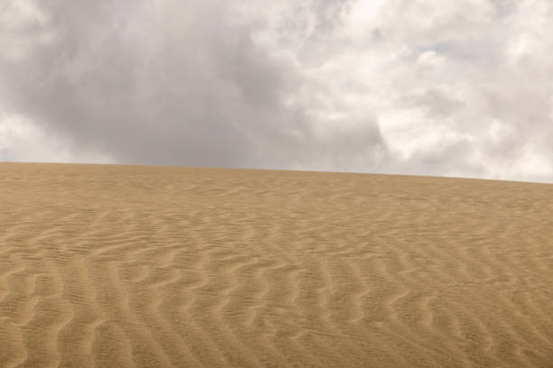 Te Paki sand dunes are in the Far North of NZ on the west coast.