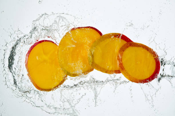 Two ripe tropical fruit shot against a white background. The colour of the mangoes indicate they are ready to eat.