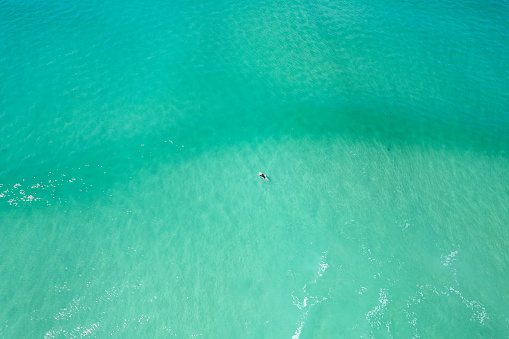 A lone surfer paddling out into the ocean on a perfect day.