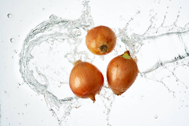 High Speed Photography Onions Water Splash