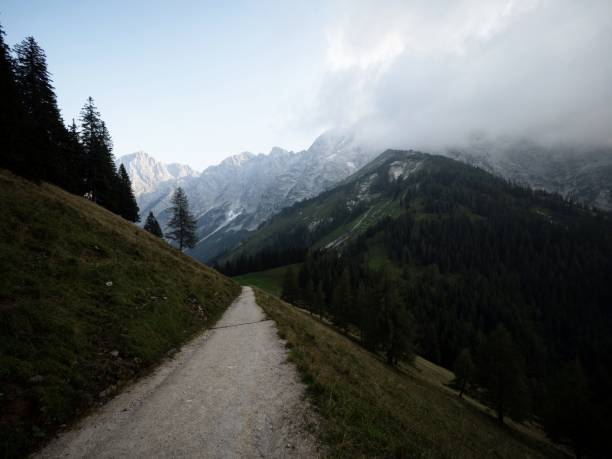 alpine mountain gravel road way hiking trail path at rossfeld panoramastrasse berchtesgaden bavaria germany austria alps - footpath european alps fence woods imagens e fotografias de stock