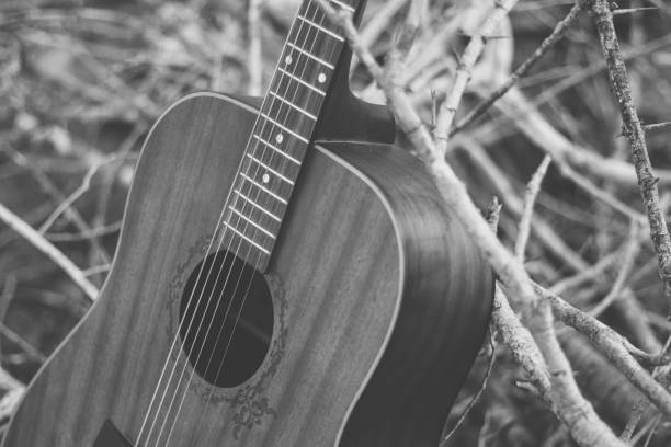 istock old dark brown acoustic guitar 1461185813