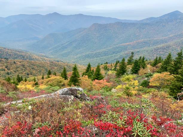 istock Fall Colors in the Blue Ridge Mountains 1461198980
