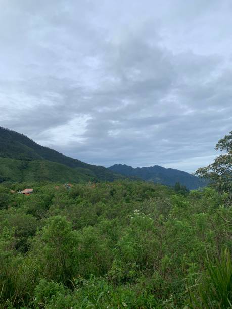 istock Mountain Valley from bottom in cloudy morning 1461204319