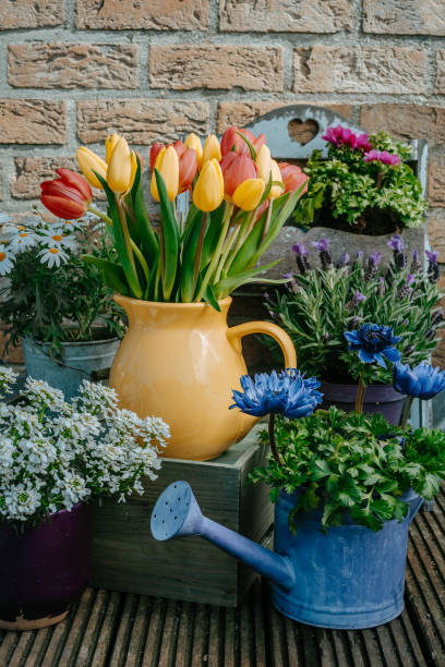 istock Floral decor near house 1461211086