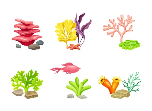 Vector illustration of Set of underwater plants, fishes and stones set. Marine life and aquarium flora vector illustration