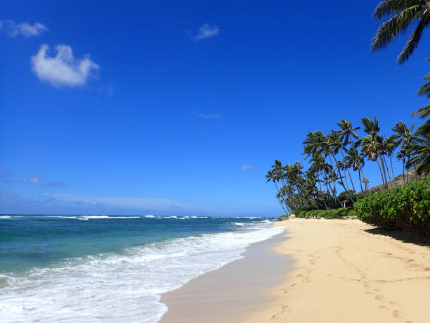 istock Footprints in the sand on a sandy beach as waves roll 1461220389