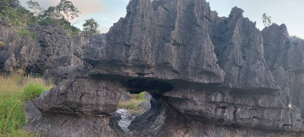 istock Natural Landscape of Indonesia. 1461220677