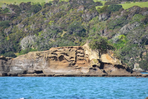 Eroded Coastal Rocks Of Tawharanui