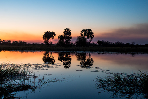 Sunset over the Thamalakane River, Maun, Botswana
