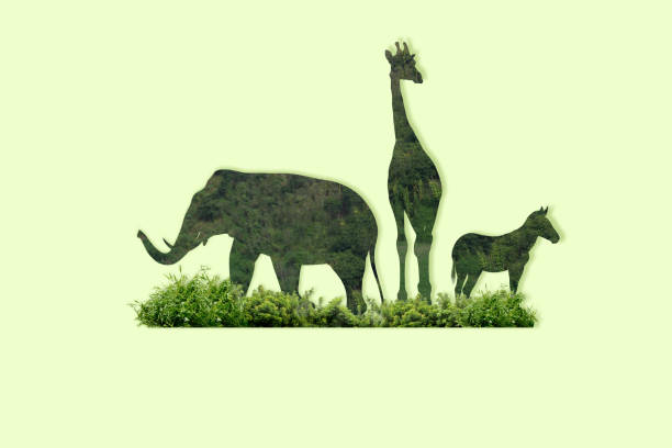 istock World Wildlife Day 1461228816