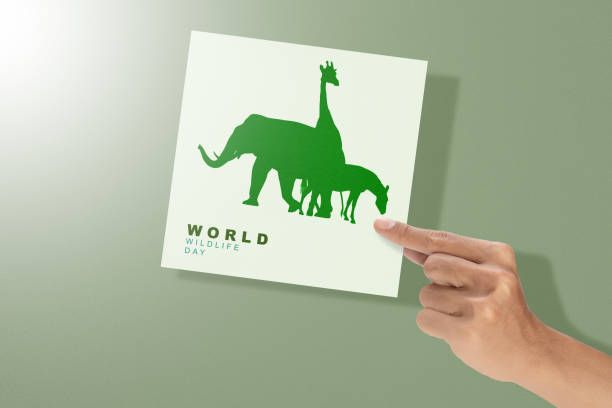 istock World Wildlife Day 1461228854