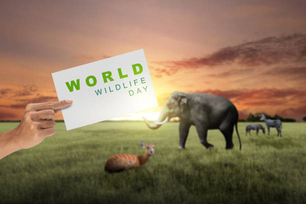 istock World Wildlife Day 1461228881