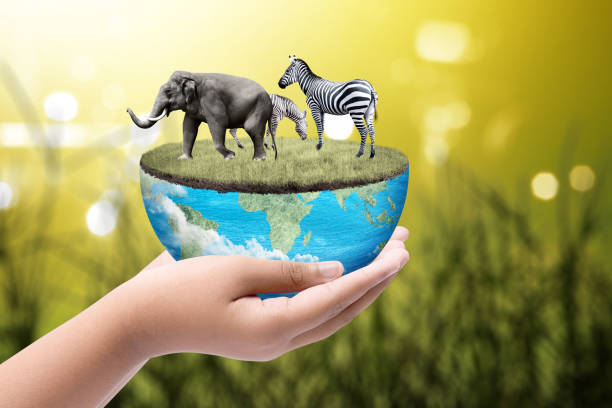 istock World Wildlife Day 1461228916
