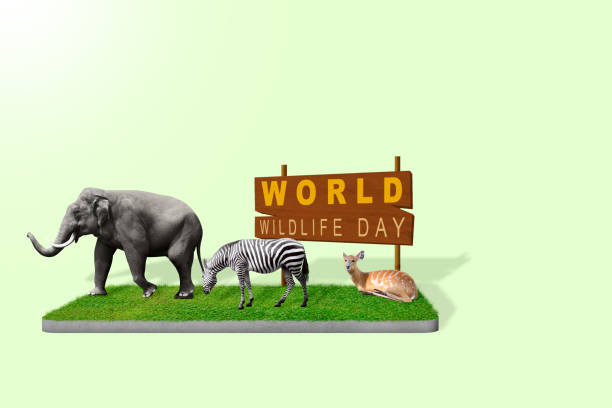 istock World Wildlife Day 1461228999