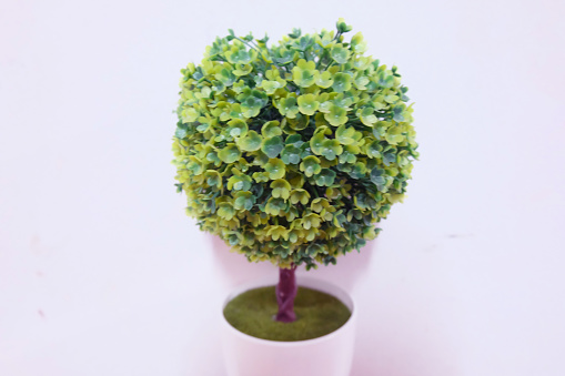Artificial plant, decorated, round leaves, background