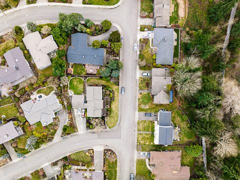 An aerial view of houses in a suburban neighborhood in Bellevue Washington.