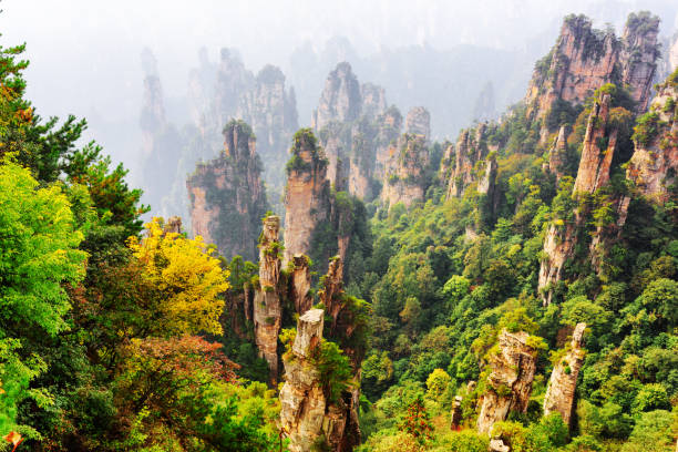 istock Top view of natural quartz sandstone forest among fall woods 1461240405