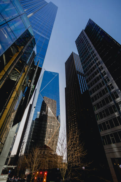 istock Downtown Seattle City Buildings and Sky Scrapers 1461244807