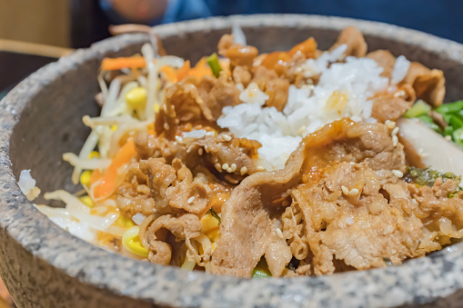 A bowl of fragrant beef rice (Washoku)