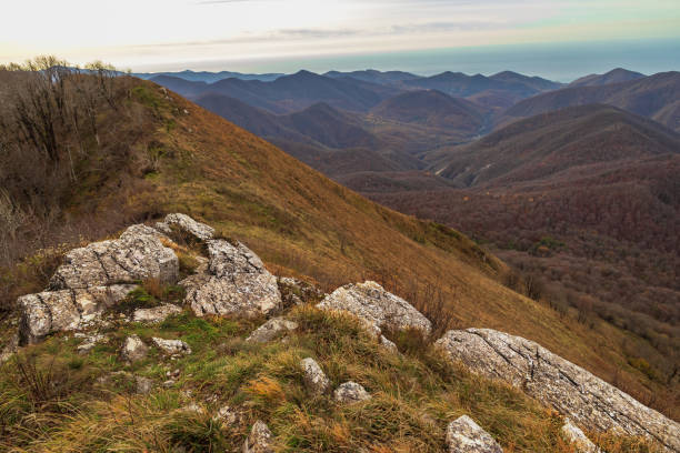 istock View from a height of 1000 m. 1461248429