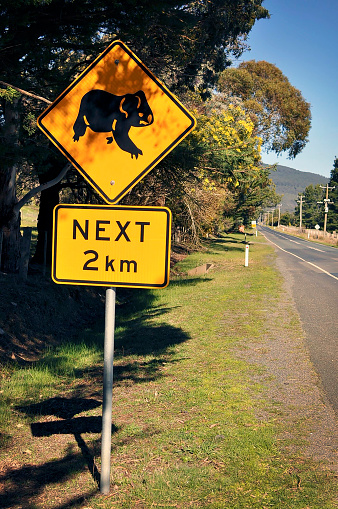 Koala crossing roadside sign warning of koalas being in the area with 2 km in Australia