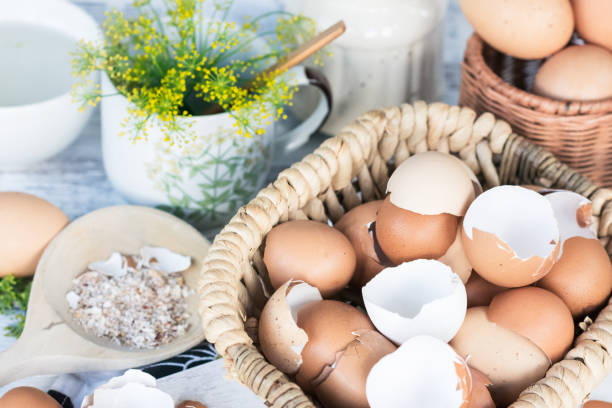 Brown and white eggshells placed in basket in home kitchen on table, eggshells stored for making natural fertilizers for growing vegetables Brown and white eggshells placed in basket in home kitchen on table, eggshells stored for making natural fertilizers for growing vegetables, sustainability concept eggshell stock pictures, royalty-free photos & images