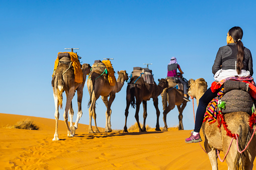 Woman tourists riding camels on sand dunes in the desert, Merzouga, Erg Chebbi sand dunes region, Sahara, Morocco. Model released.
