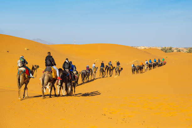 kuvapankkikuvat ja rojaltivapaat kuvat aiheesta kameleilla ajavat turistit autiomaassa, merzouga, erg chebbi, sahara, marokko - sand mountain