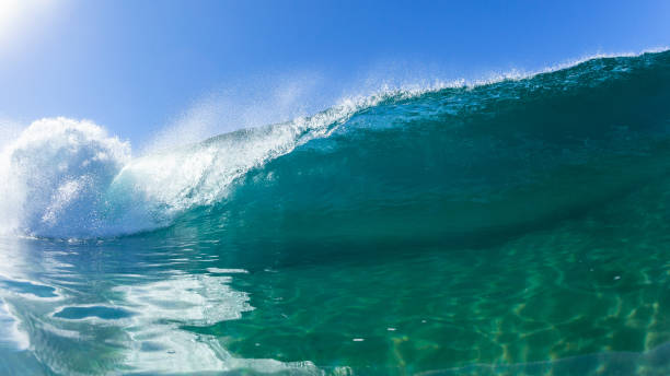 istock Wave Ocean Blue Encounter Swimming 1461259594