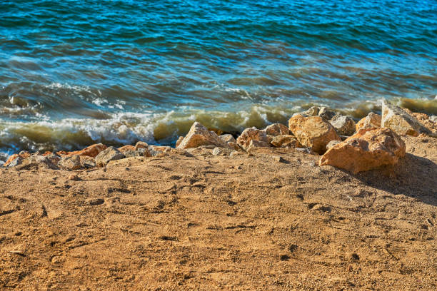foam that has just been generated because a wave burst into the sea