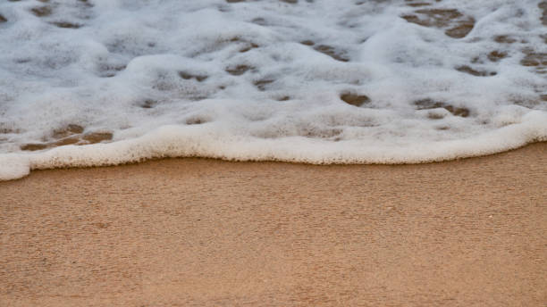 istock foam that has just been generated because a wave burst into the sea 1461262423